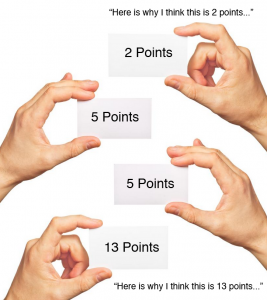 Read more about the article Estimates: The Points Don’t Matter